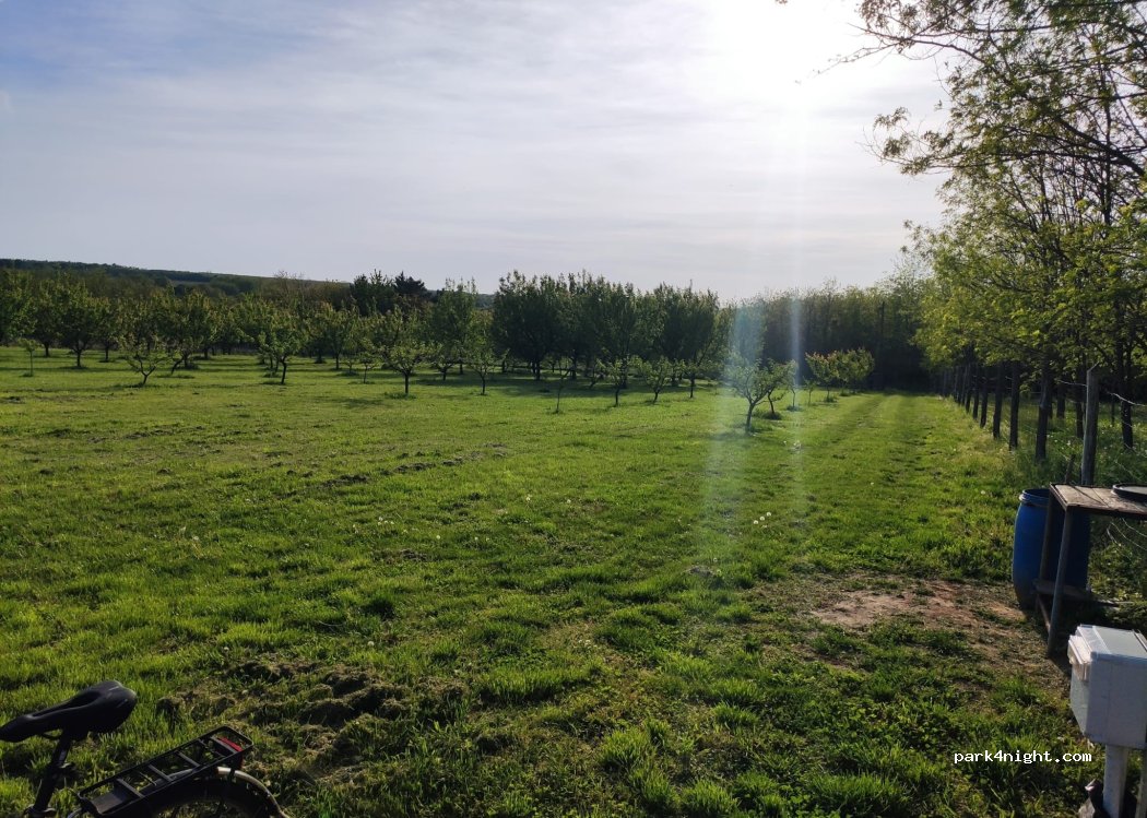 Apricot Haven — foto 3