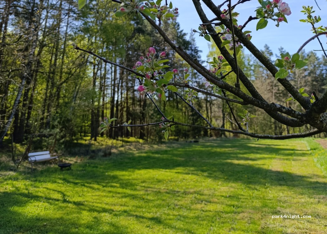 (382 18) Rožmberk nad Vltavou - — foto