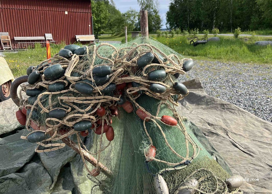(955 31) Kängsön - 512 Kängsön — foto