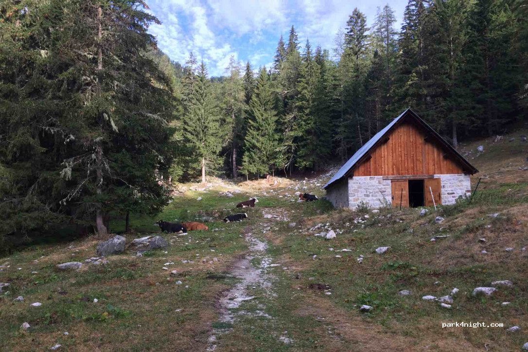 (06450) Saint-Martin-Vésubie - M89 — foto