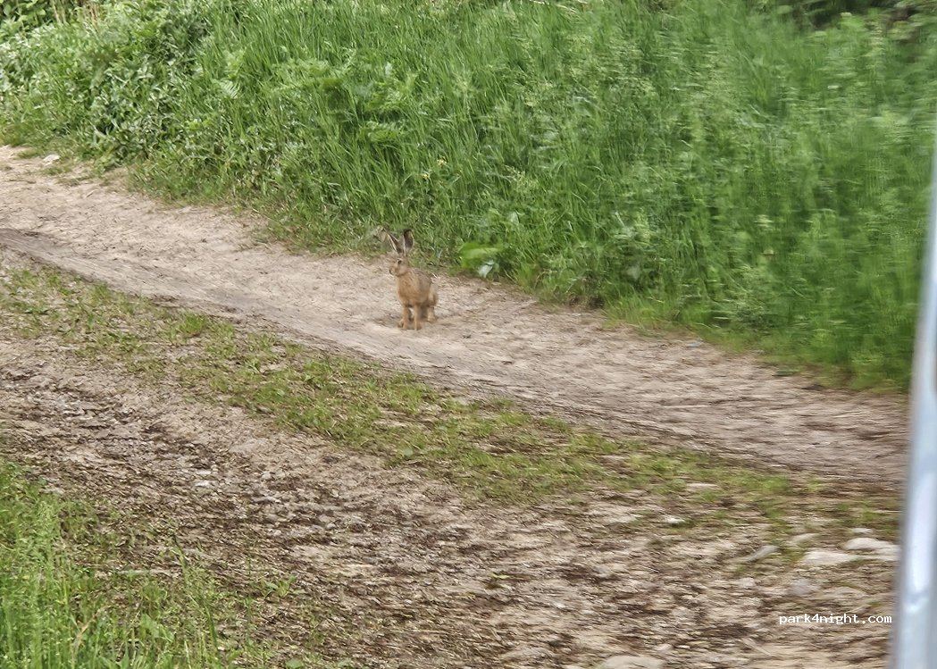 (39010) Mölten - 2 Jochweg — foto
