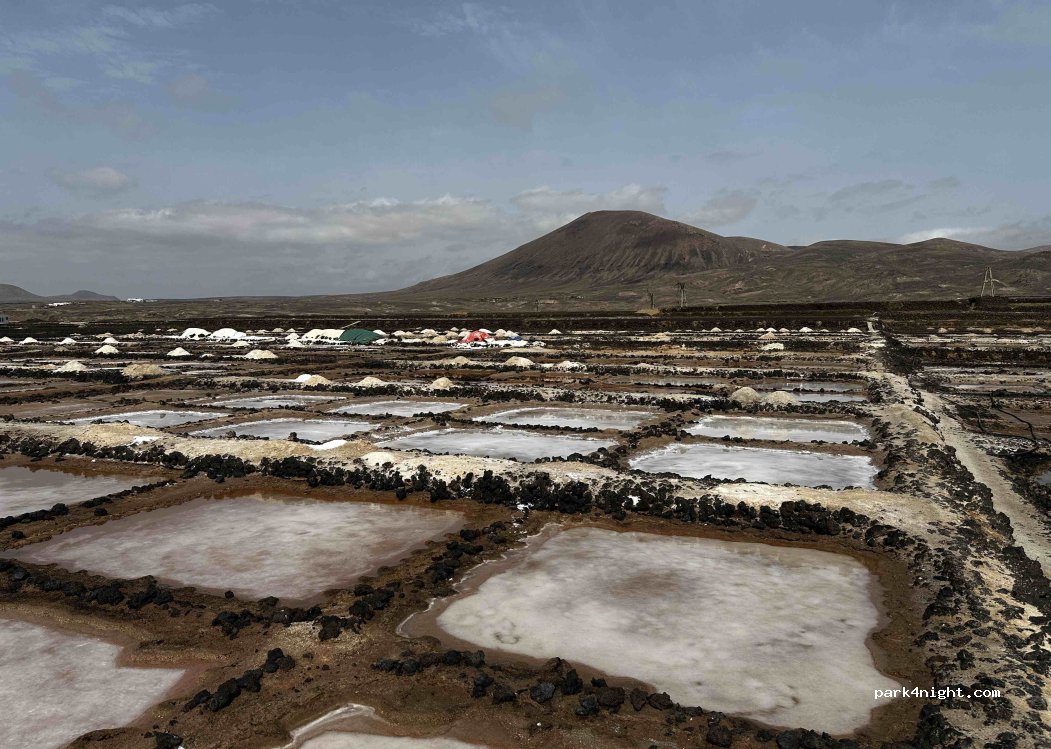 (35544) Teguise - 3 Diseminado los Cocoteros — foto