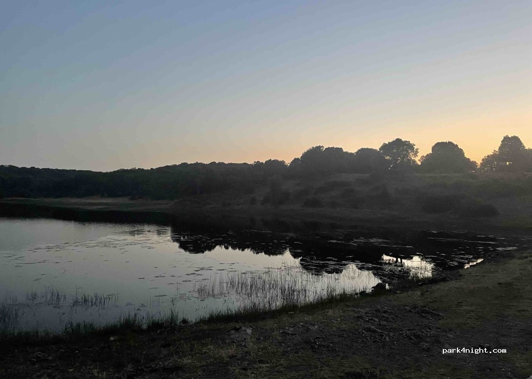 (07010) Illorai - Unnamed Road — foto 2