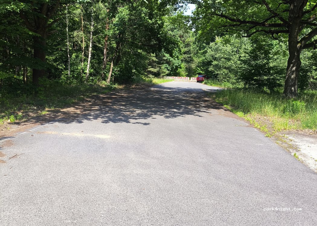 (16515) Oranienburg - 1 Birkenwäldchen — foto