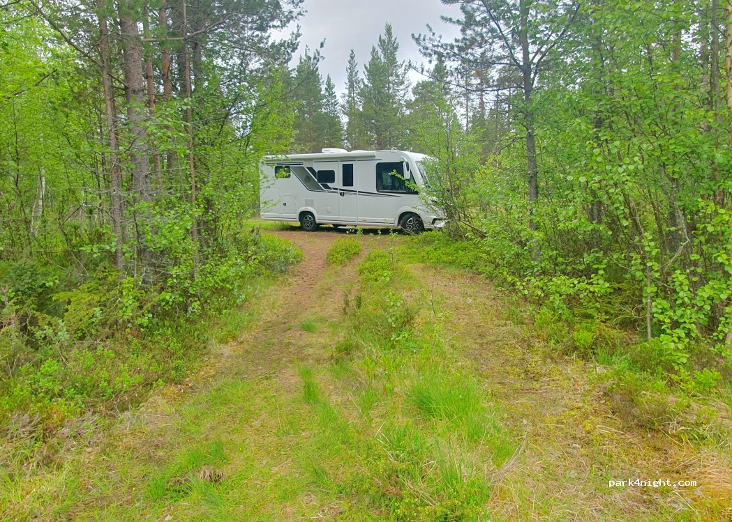 (933 95) Arvidsjaur - 1 Långträskälven — foto