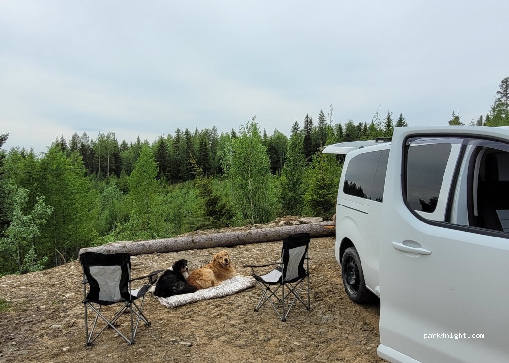 (835 98) Tjärnåsen - — foto