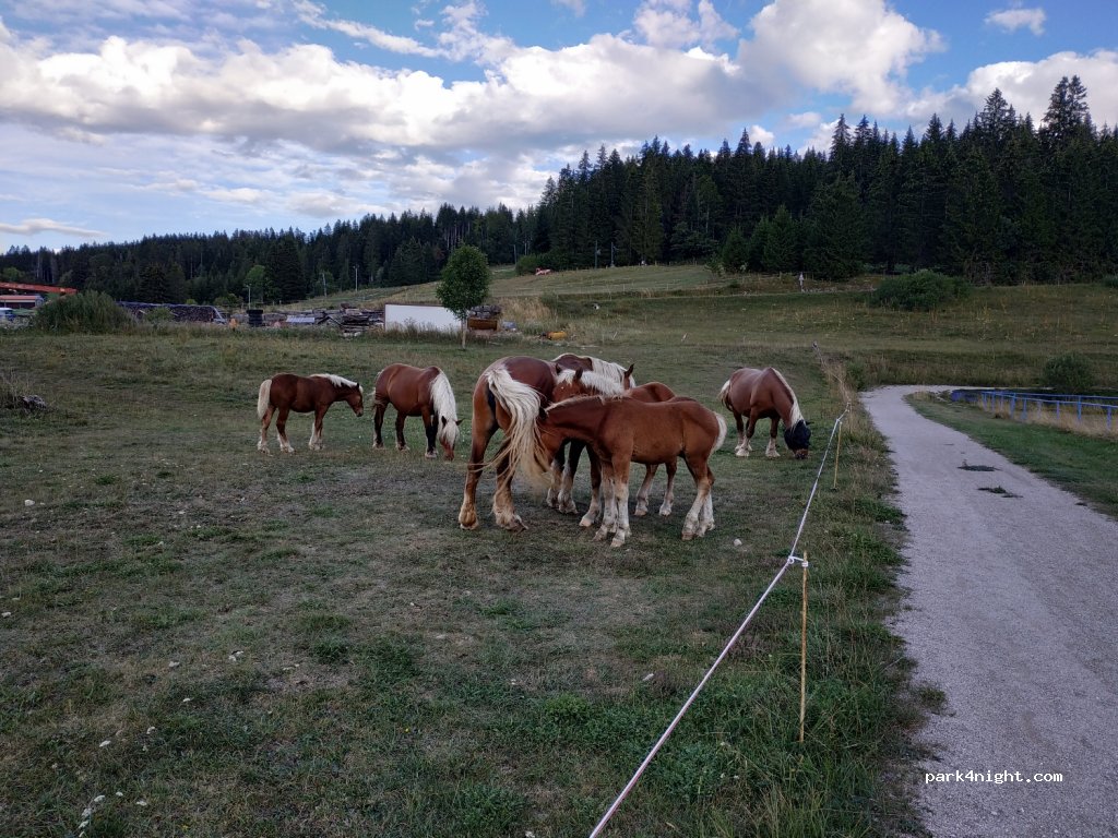 (25370) Rochejean - Les Fuves — foto 3