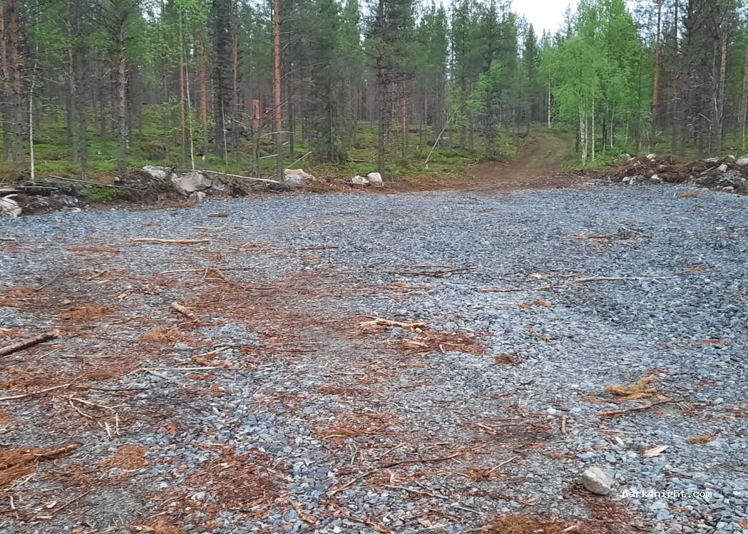 (924 92) Blattnicksele - — foto