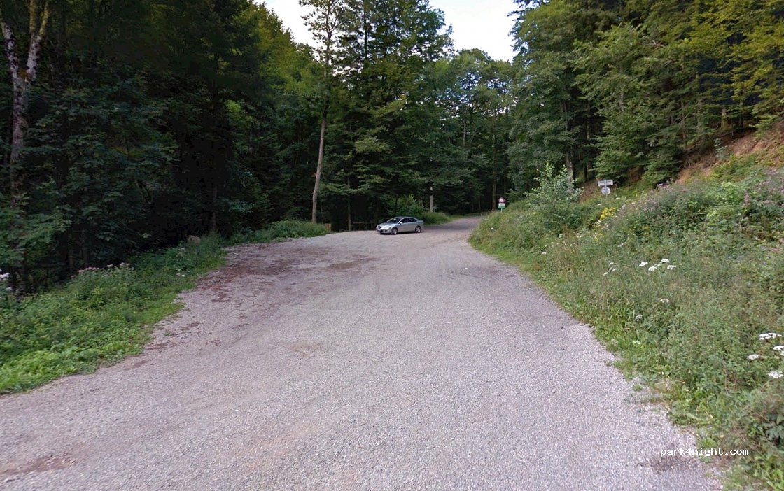 (67130) Schirmeck - Route Forestière des Ebolières — foto
