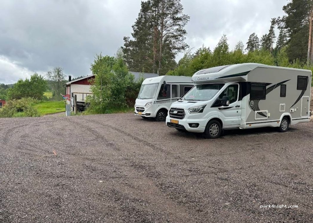 Galleruds damm — foto 4