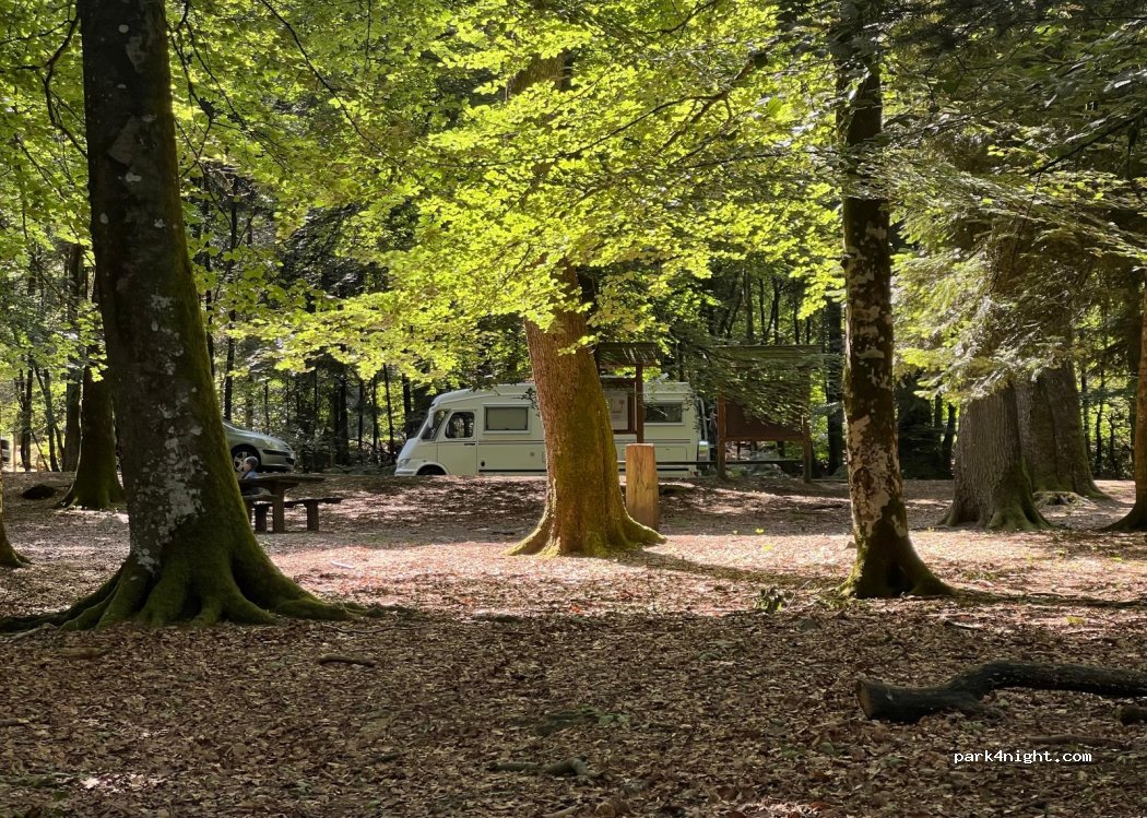 (61250) Saint-Nicolas-des-Bois - 374 Route Forestière Aubert — foto