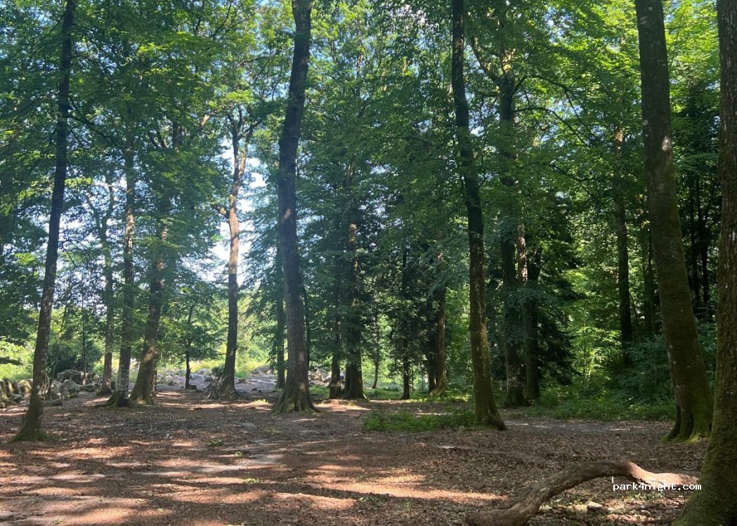 (61250) Saint-Nicolas-des-Bois - 374 Route Forestière Aubert — foto 2