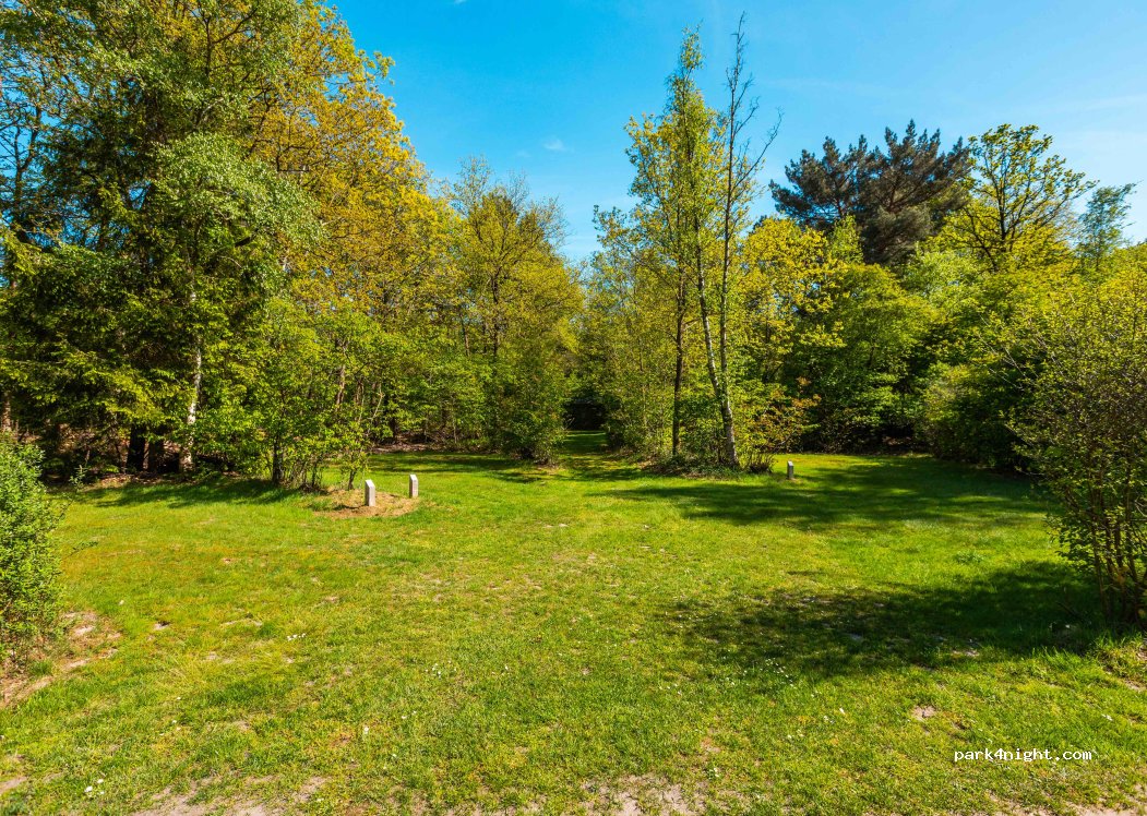 Vakantiepark De Wiltzangh — foto 3