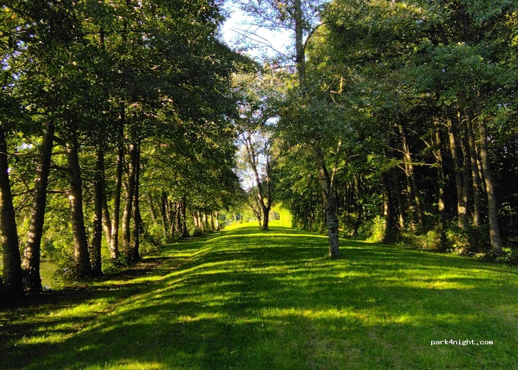 (45500) Autry-le-Châtel - 469 Chemin du Point du Jour — foto 4