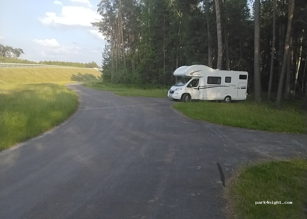 (95-082) Róża - — foto