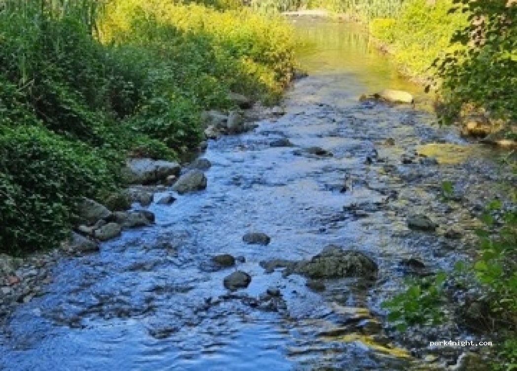 (20200) San-Martino-di-Lota - 341 Grisgione — foto 2