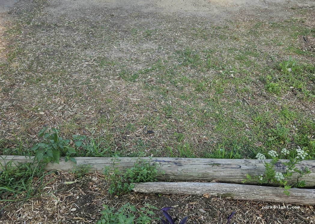 (20200) San-Martino-di-Lota - 341 Grisgione — foto 3