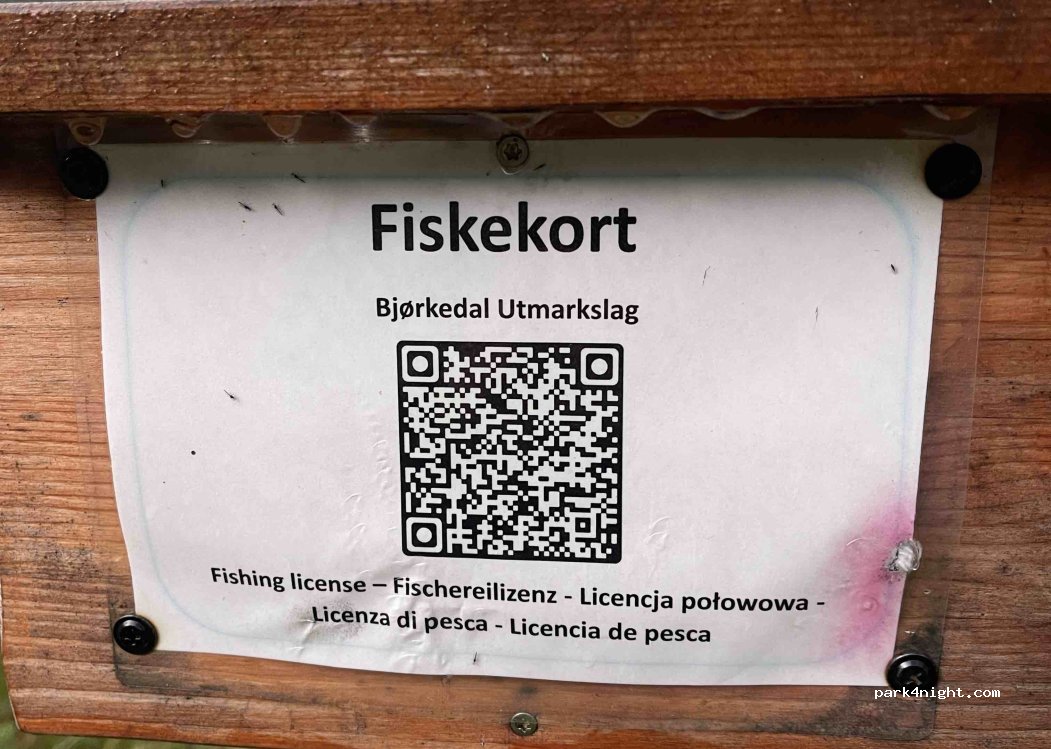 (6770) Nordfjordeid - 461 Bjørkedalseidet — foto