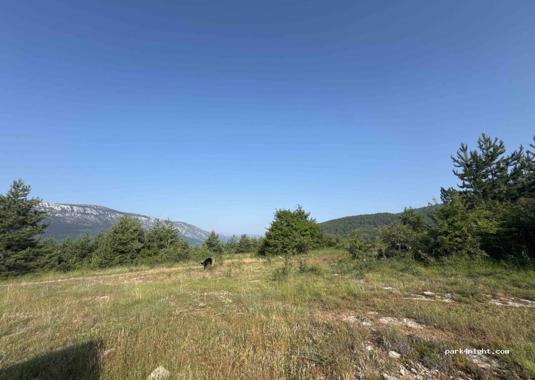 (18300) Slavinja - — foto 2