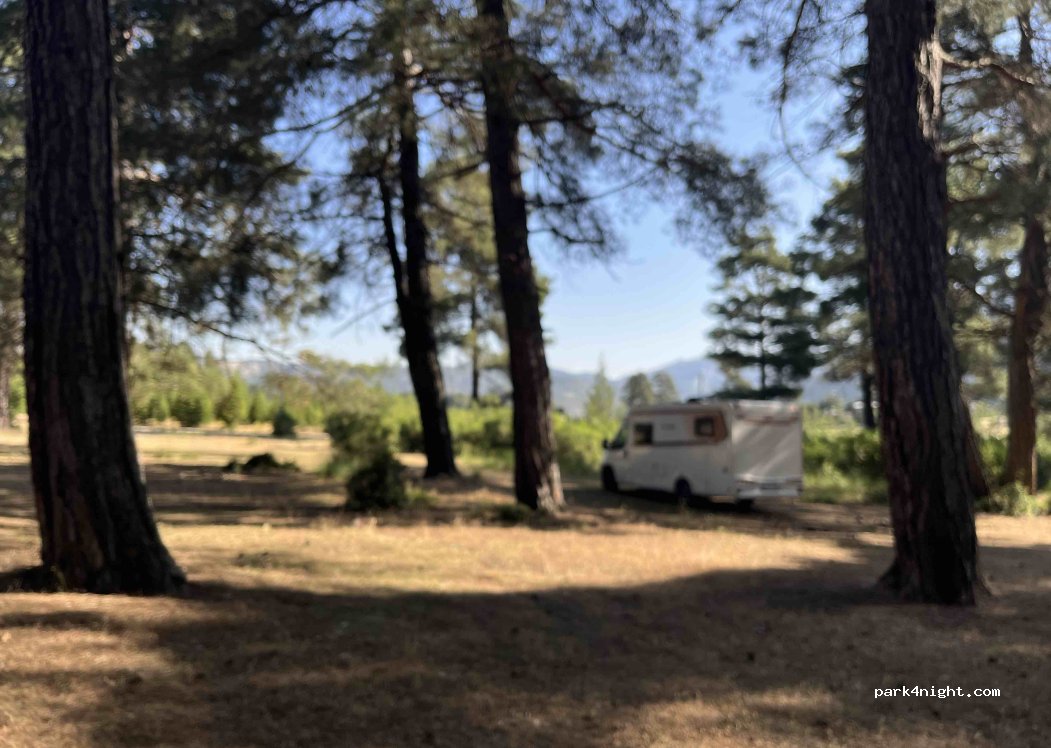 (07800) Bayatbademleri - — foto