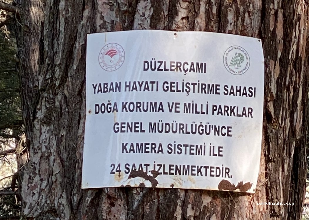 (07800) Bayatbademleri - — foto 2