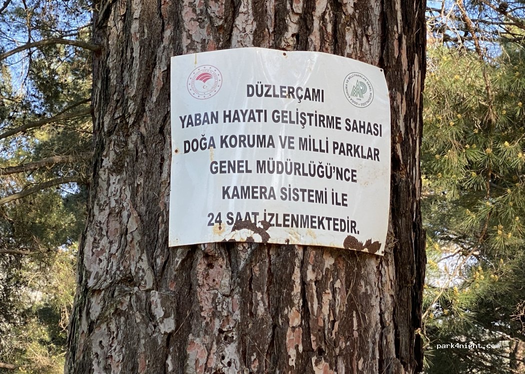 (07800) Bayatbademleri - — foto 3