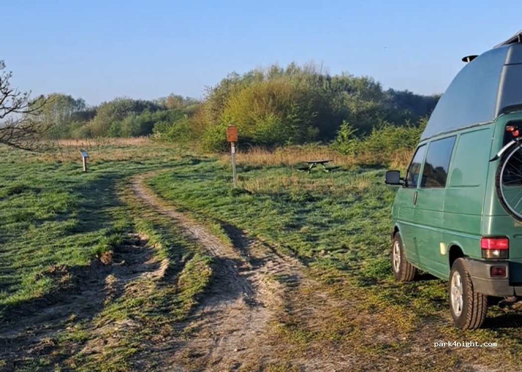(4515 SB) IJzendijke - 1 Schapenmenne — foto