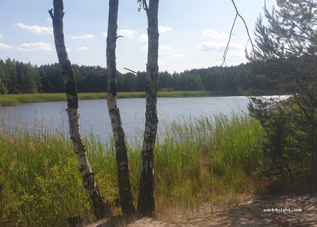 (46-380) Myślina - Unnamed Road — foto 2