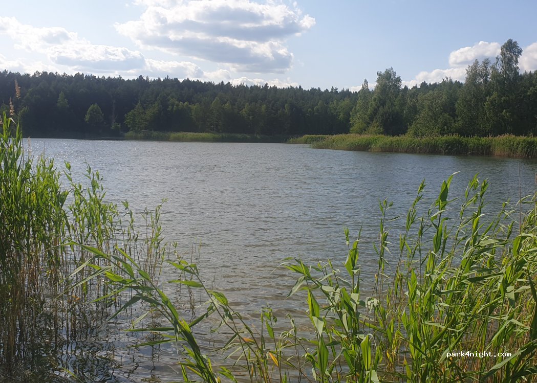 (46-380) Myślina - Unnamed Road — foto 3