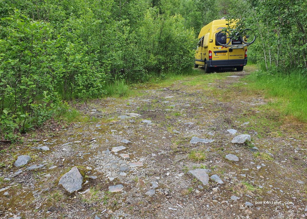 (6620) Børsetlauvet - — foto 2