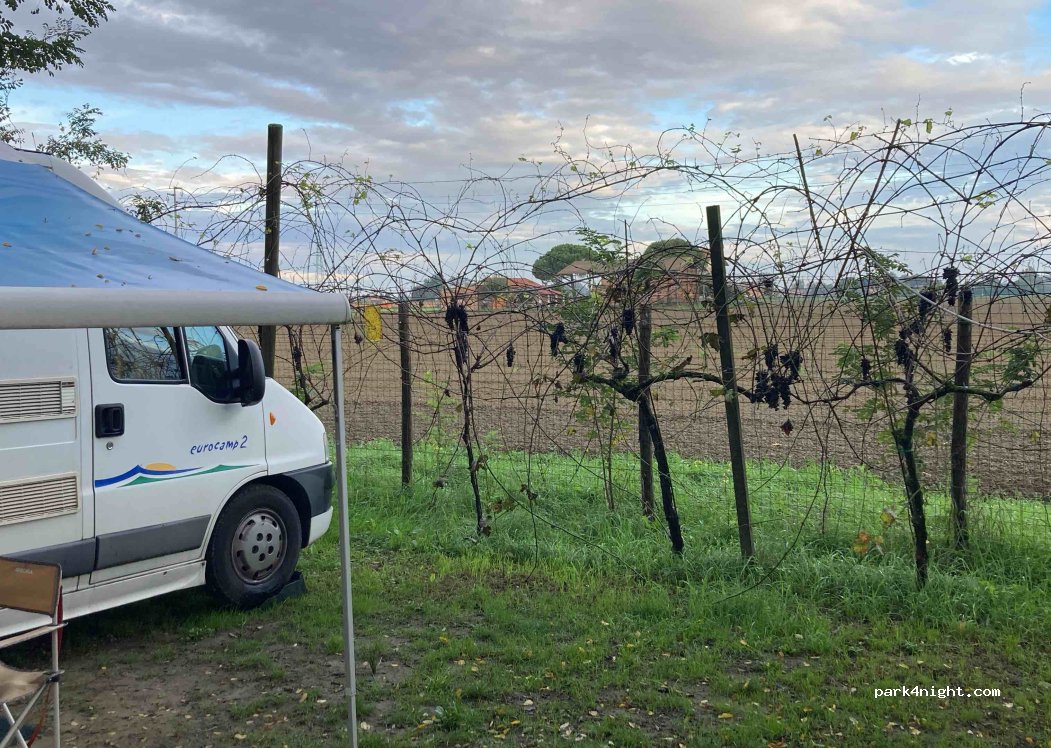 Camping - Bio Farm — foto 5
