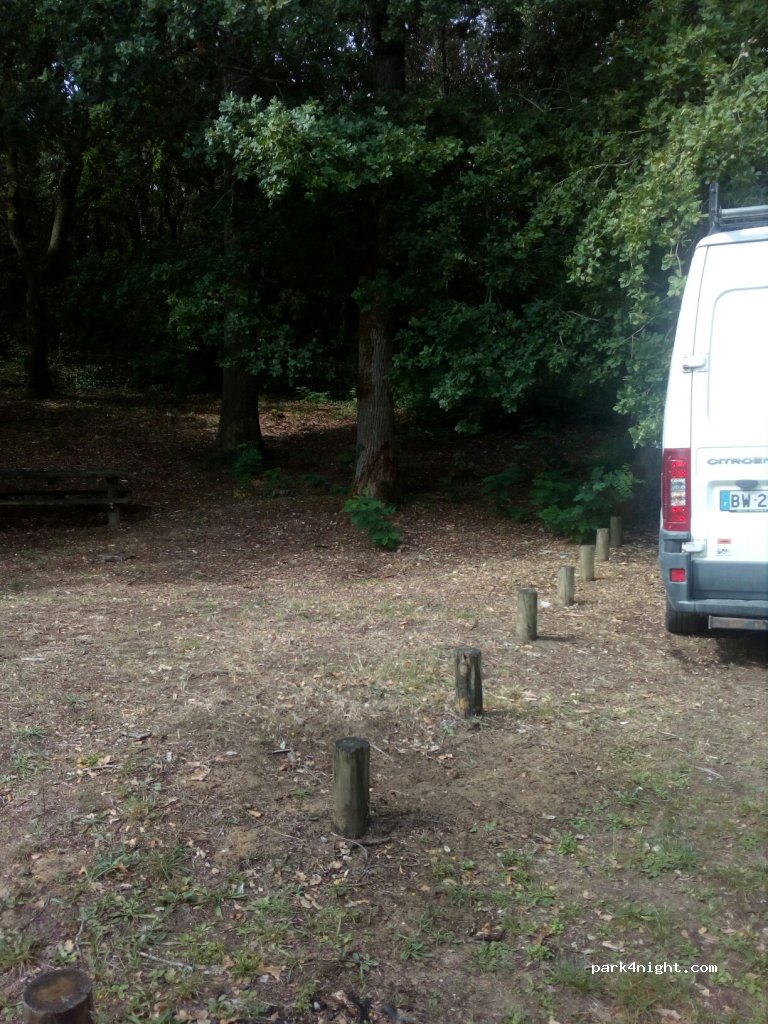 (85560) Longeville-sur-Mer - 220 La Casse des Lavandes — foto 3