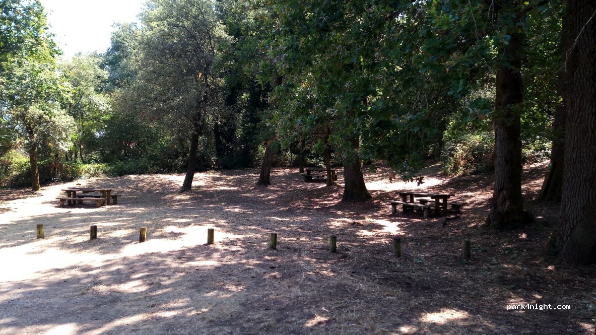 (85560) Longeville-sur-Mer - 220 La Casse des Lavandes — foto 4