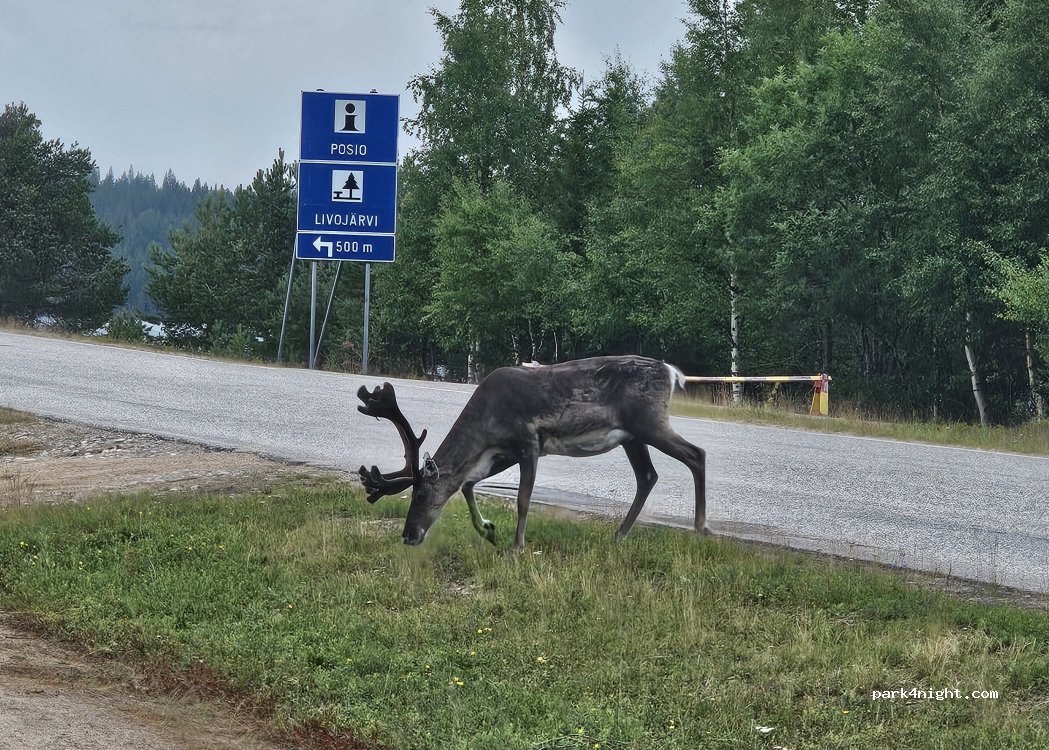 (97950) Posio - 190 Taivalkoskentie — foto 3