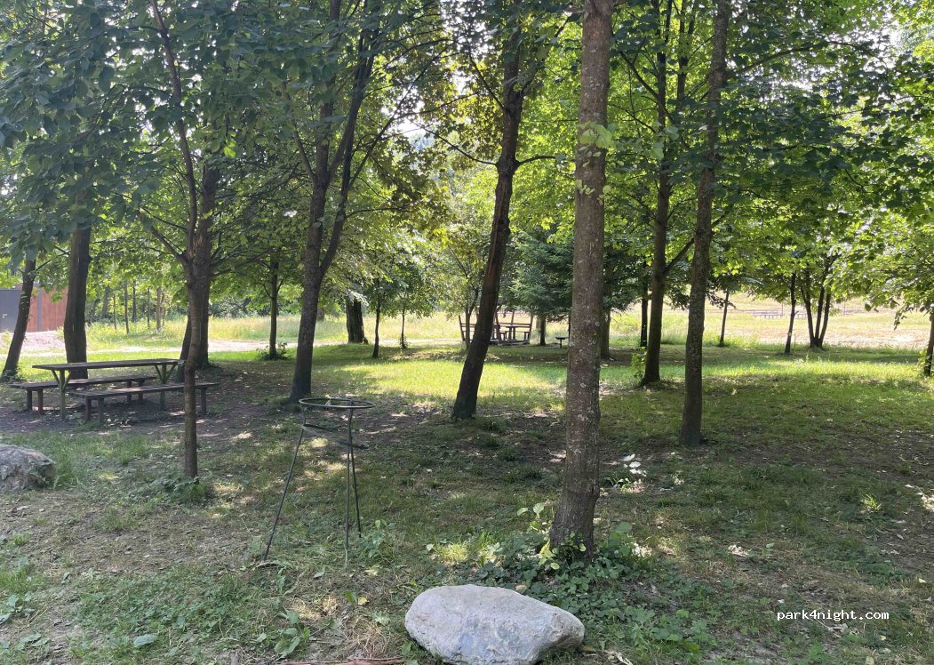 (31233) Kruščica - — foto