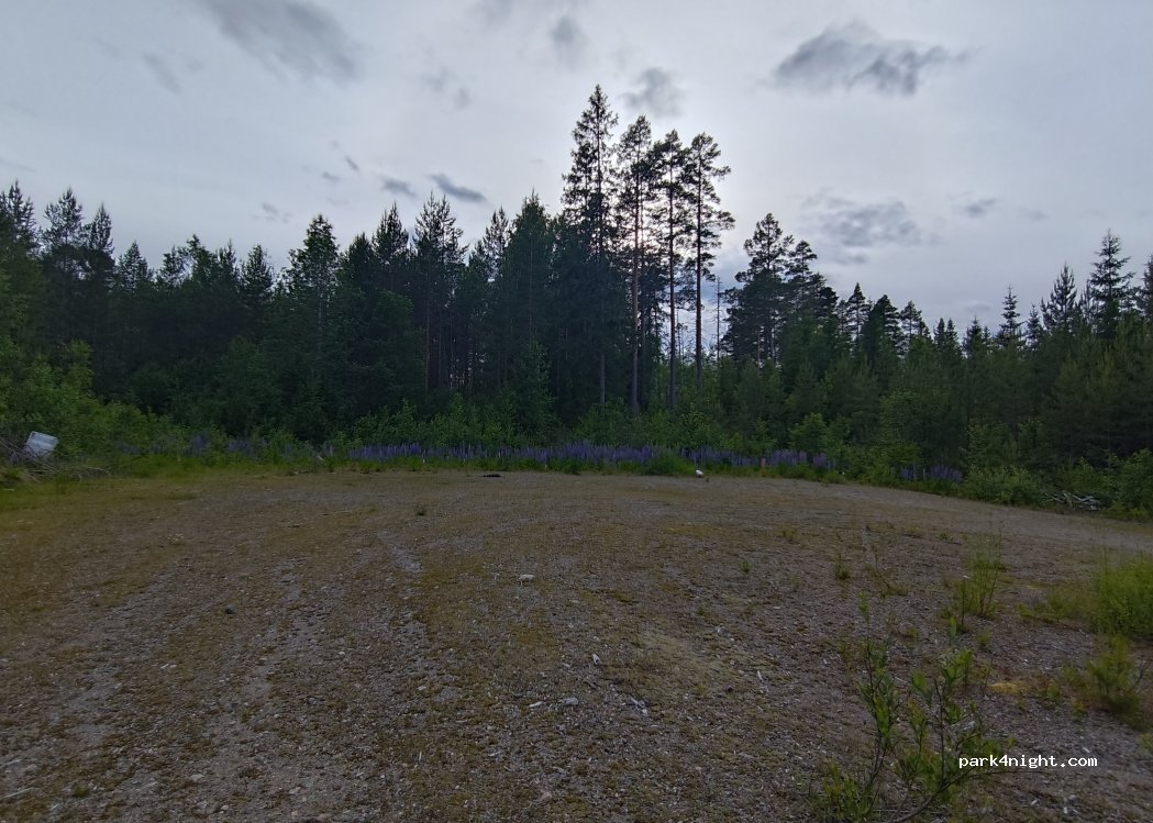 (805 98) Gävle - — foto