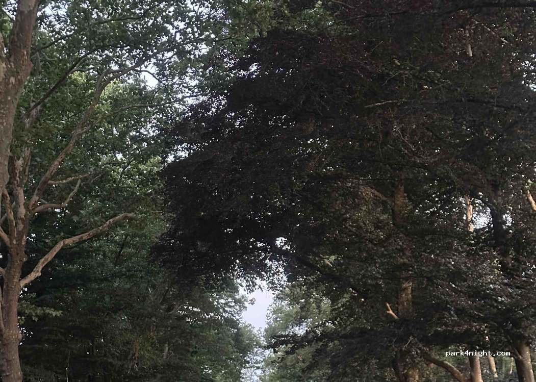 Parking du bois du Grand bon dieu — foto