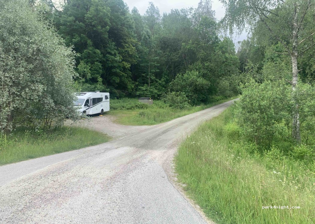 (458 93) Färgelanda - 173 — foto 2