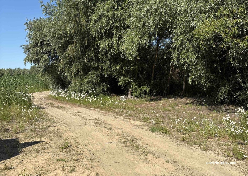 (62-730) Miłkowice - — foto principale
