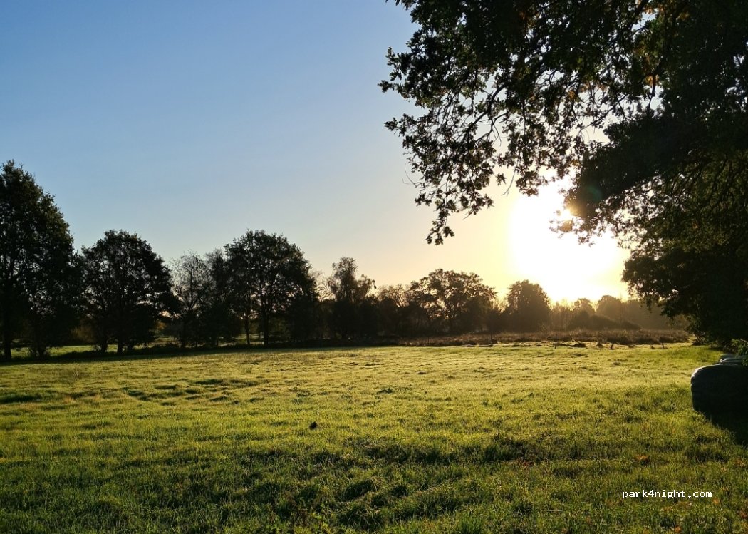 (26810) Westoverledingen - 13 Hoher Weg — foto
