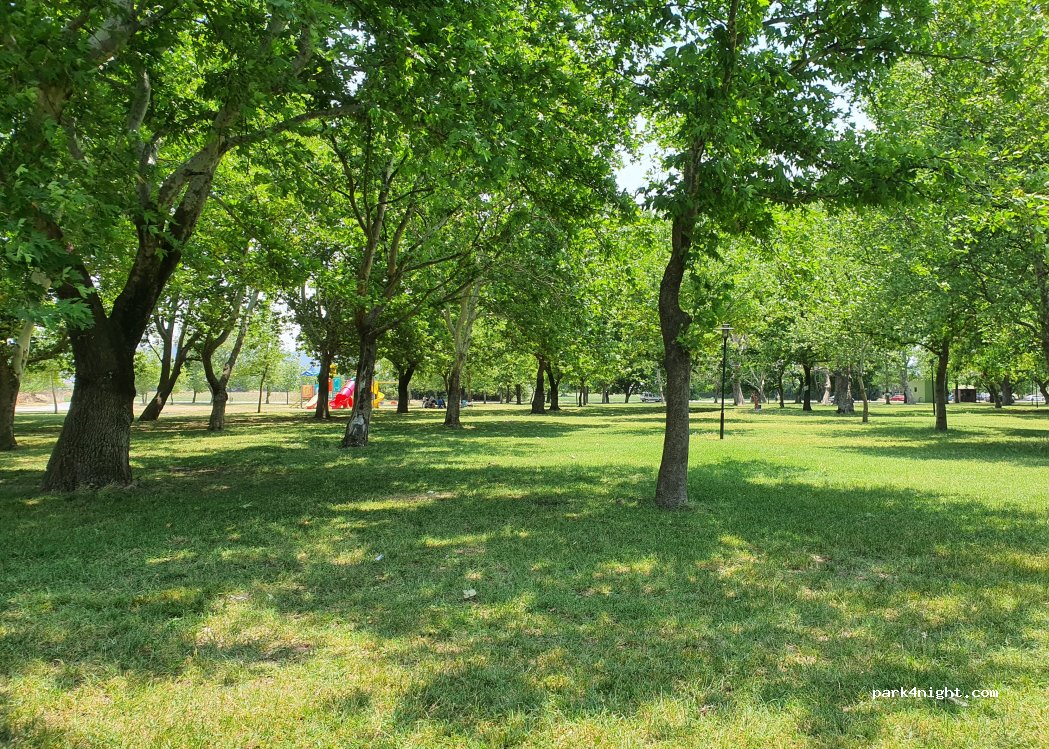 (10440) Abacı - — foto 3