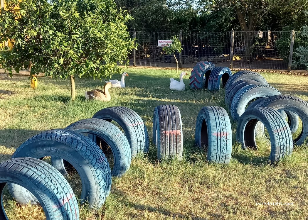Riccia Ranch — foto 5