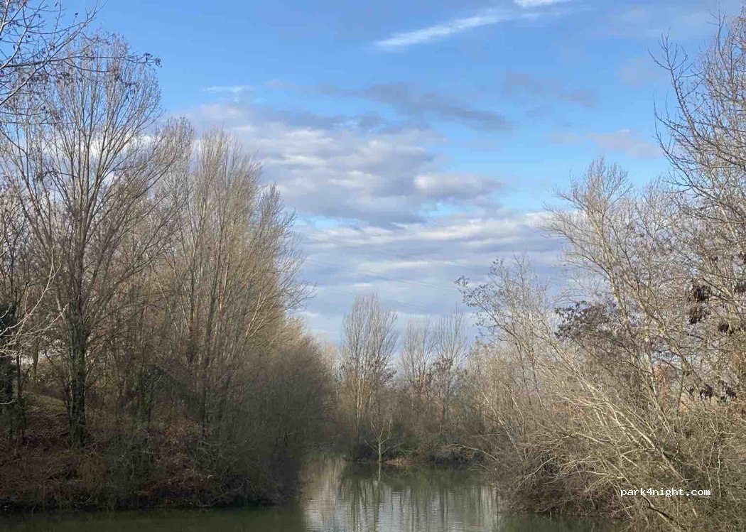 (31330) Merville - 2122 Route de Montaigut — foto 2