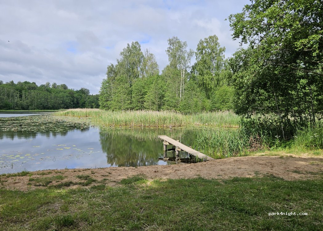 (3328) Snēpele - — foto 2