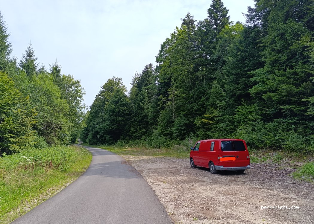 (39300) Lemuy - Route Forestière des Cherards — foto 3