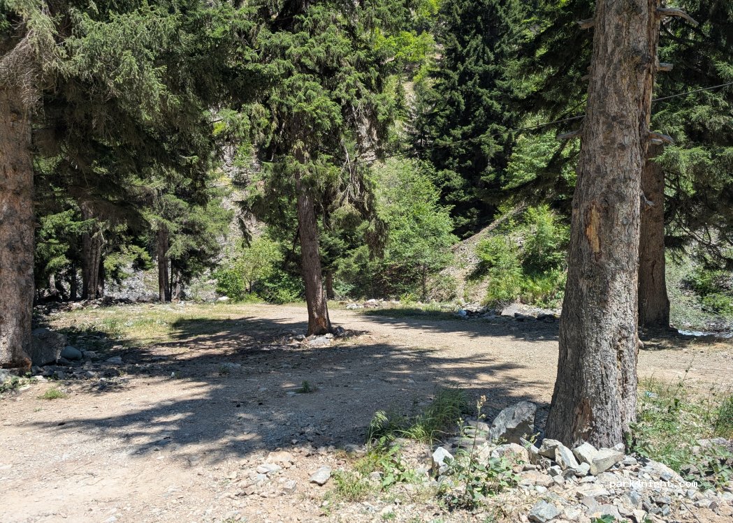 (08890) Altıparmak - — foto 2