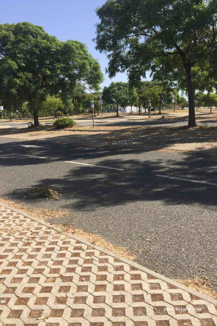 (8135) Almancil - Unnamed Road — foto