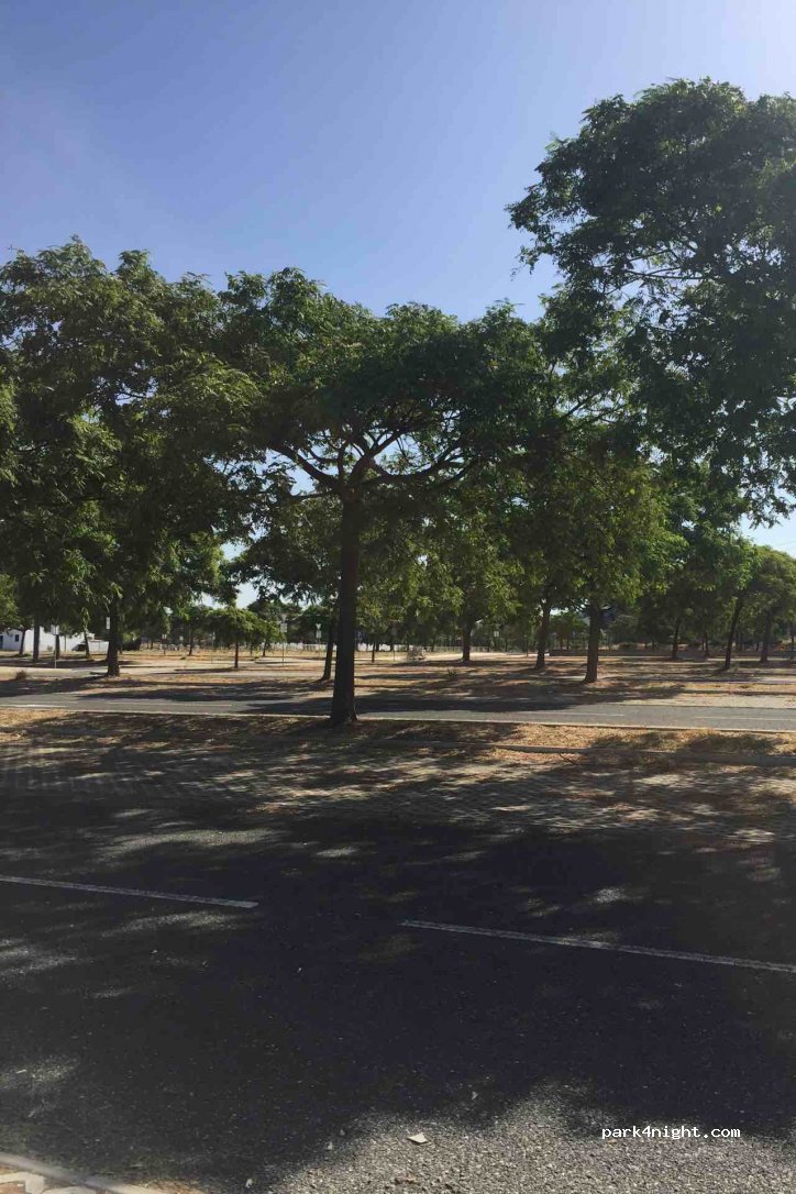 (8135) Almancil - Unnamed Road — foto 3