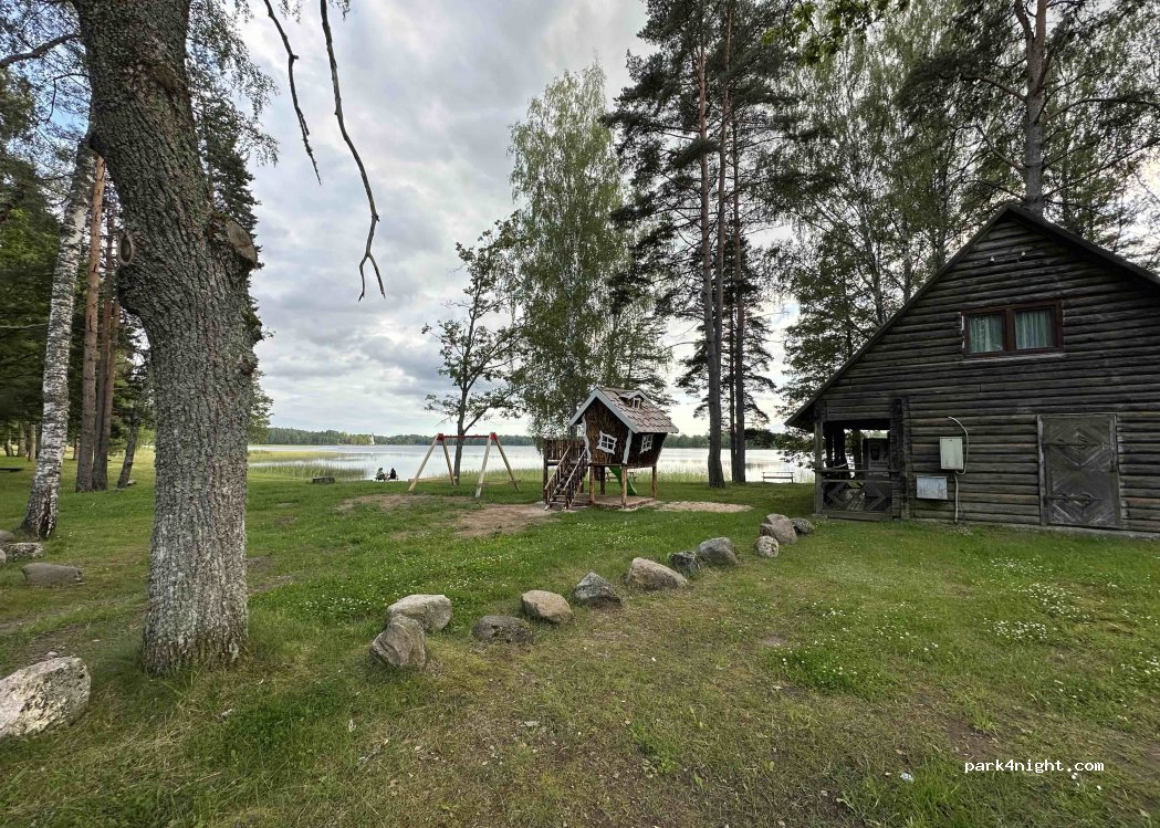 (4406) Lāčauss - — foto 2