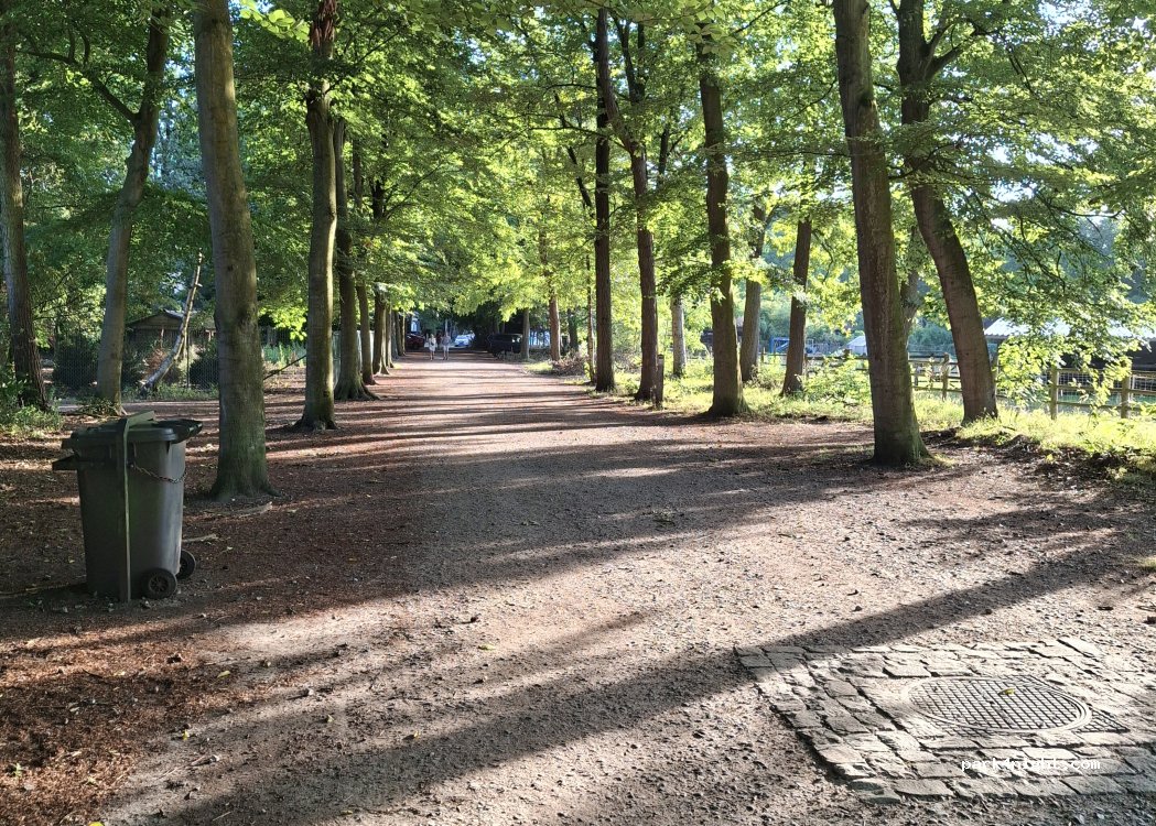 (2930) Brasschaat - Elisalei — foto